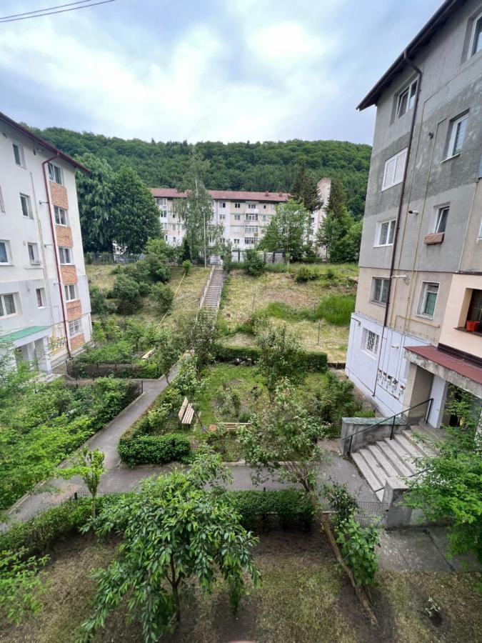 The Retreat Daire Sinaia Dış mekan fotoğraf